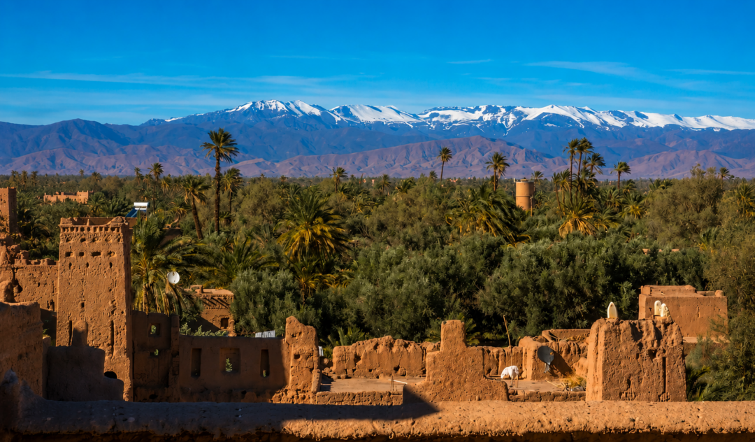 Tour de 3 Días desde Ouarzazate al Desierto y Marrakech: Oasis, Dunas y Atlas