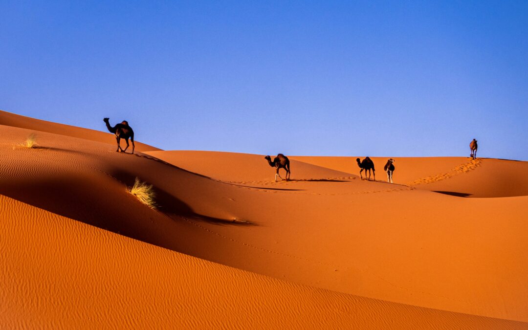 Tour de 4 días de Marrakech a Fez: La Ruta Definitiva por el Desierto del Sáhara