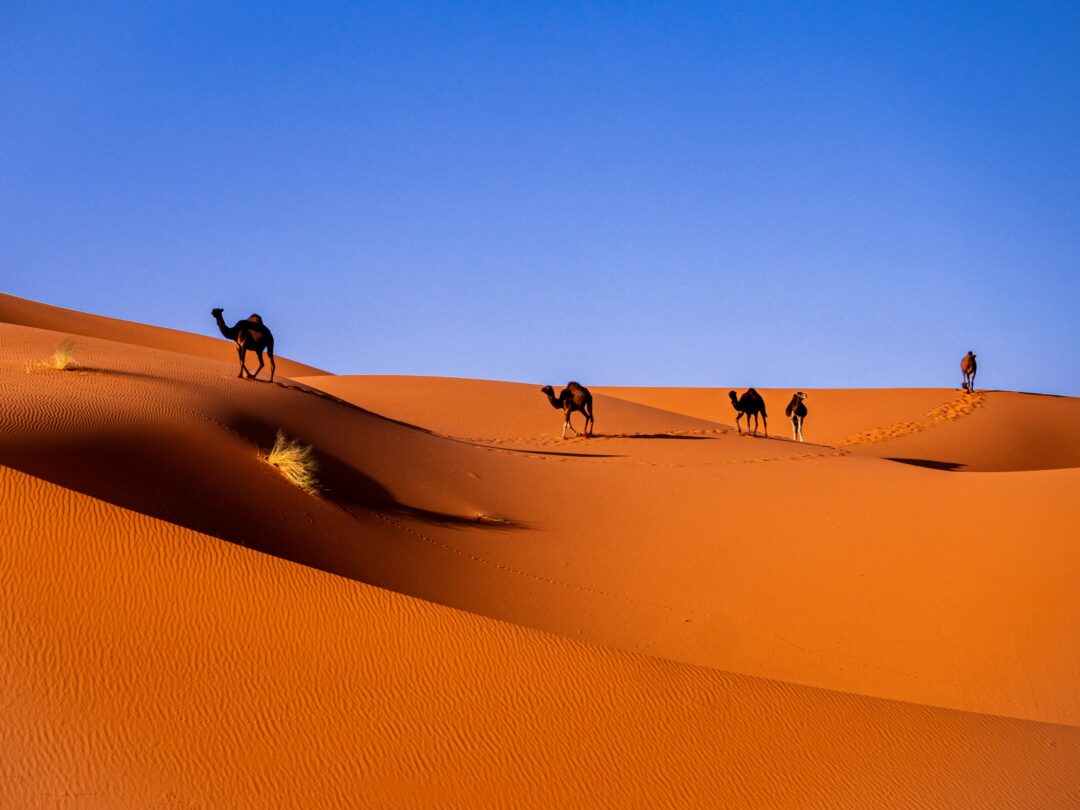 Tour de 4 días de Marrakech a Fez: La Ruta Definitiva por el Desierto del Sáhara