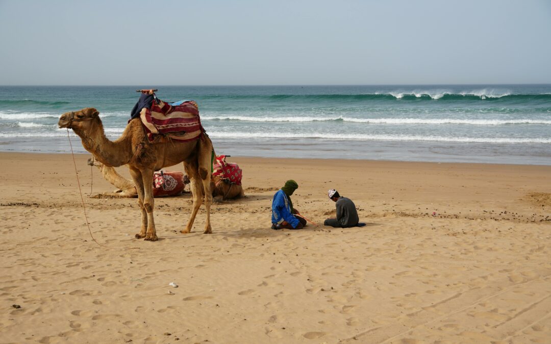 Tour de 7 Días desde Agadir al Desierto vía Marrakech: El Gran Circuito del Sur y Atlas