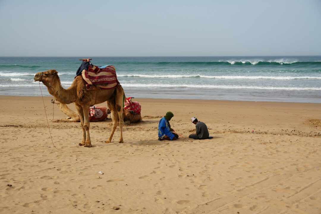 Tour de 7 Días desde Agadir al Desierto vía Marrakech: El Gran Circuito del Sur y Atlas