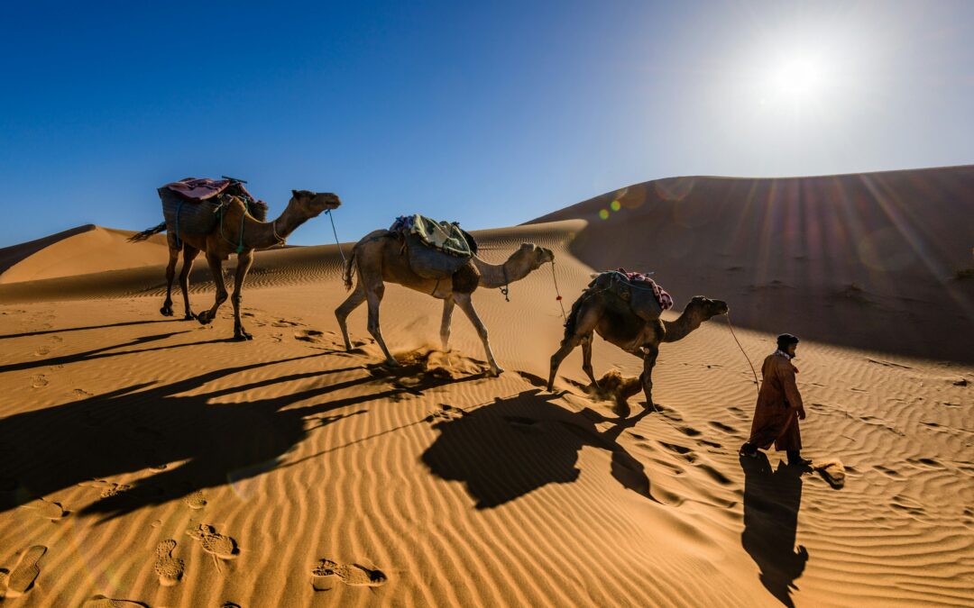 Tour de Fes a Marrakech por el Desierto en 4 Días: El Viaje Perfecto con Nomadaventuras.com