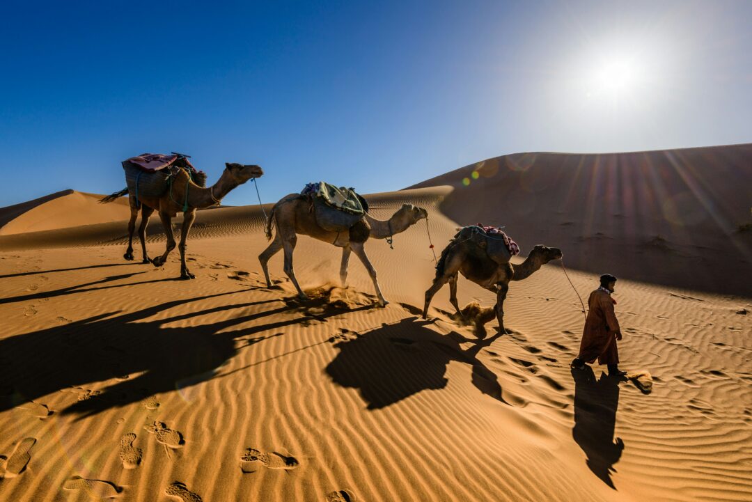 Tour de Fes a Marrakech por el Desierto en 4 Días: El Viaje Perfecto con Nomadaventuras.com