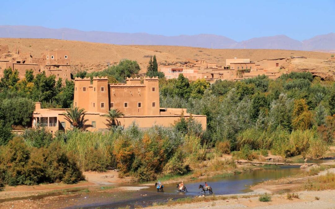 Excursión de 1 Día a las Montañas del Atlas desde Marrakech: Senderismo y Cultura Bereber