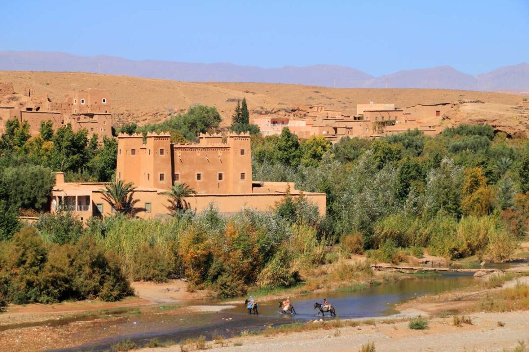 Excursión de 1 Día a las Montañas del Atlas desde Marrakech: Senderismo y Cultura Bereber