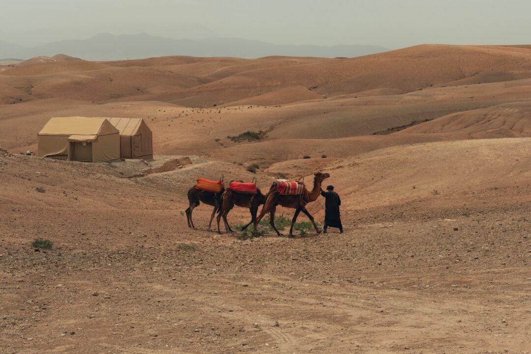 TOUR DE 2 DÍAS DESDE AGAFAY A ESSAOUIRA: DESIERTO Y ATLÁNTICO