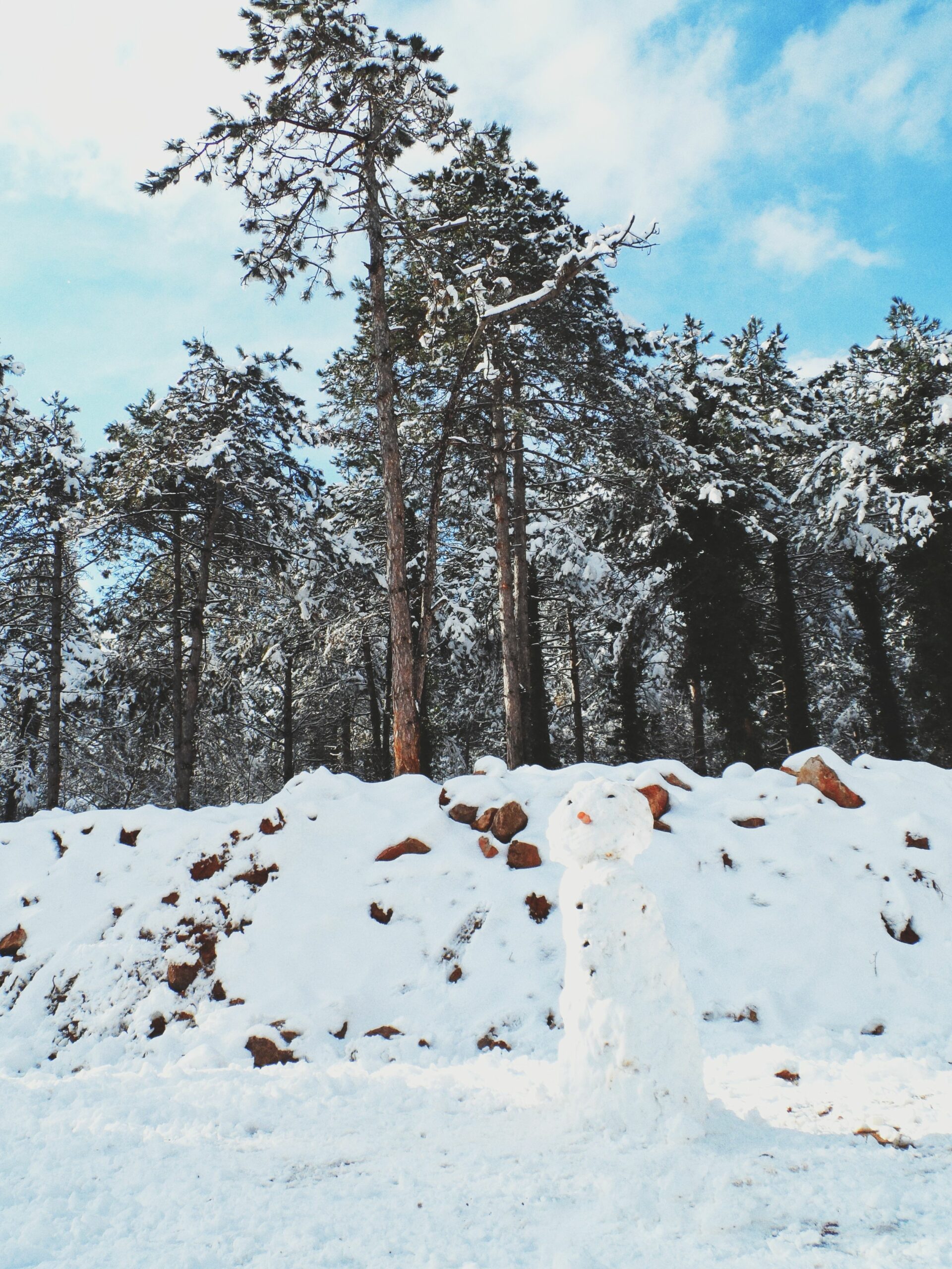 Ifrane Marruecos nieve