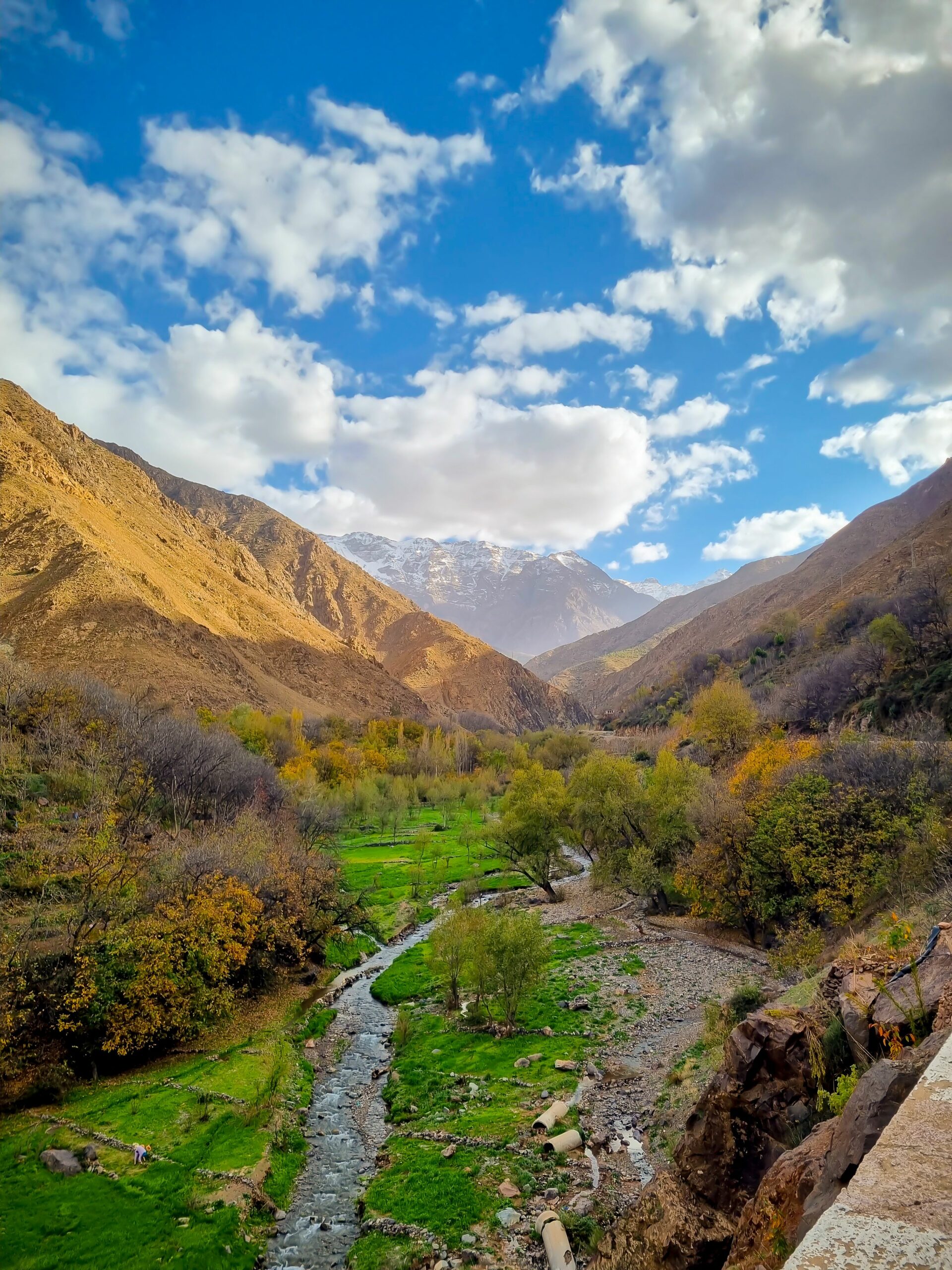 Excursión de 1 día a las montañas del Atlas desde Marrakech
