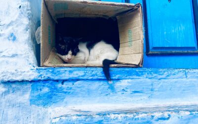 blog de viajes a marruecos Chefchaouen, Marruecos: Guía Completa para Visitar la Ciudad Azul